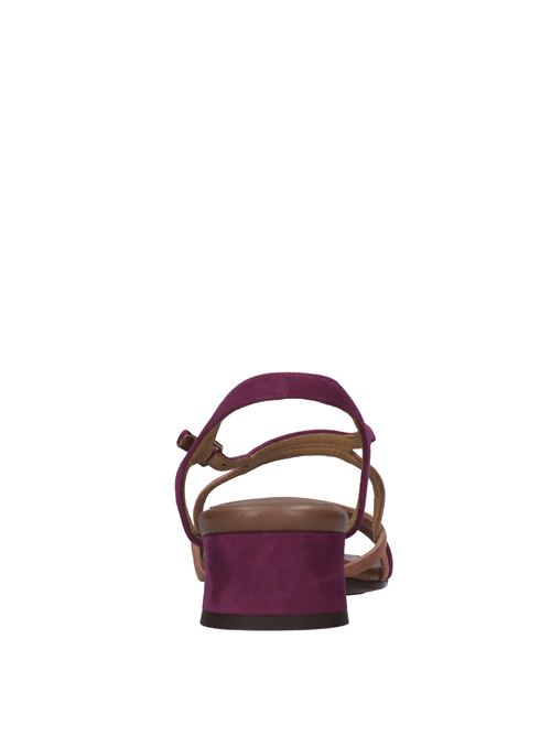 Sandali in camoscio CHIE MIHARA | FEDAN ANTEORCHIDEA-BERRY-ARGILLA-CASTANO
